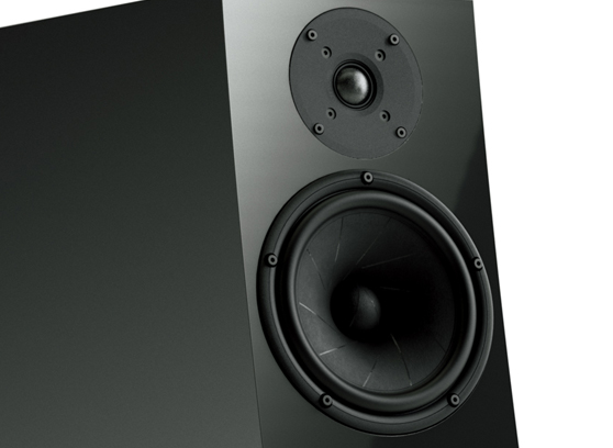 Pylon Audio Jasper Monitor 18 - cecha 1